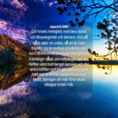 Picture 04 - Josua 8:33 SV1917 - Och Israels menighet, med dess äldste och - Bible Verse Picture