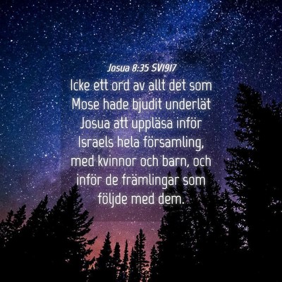 Picture 04 - Josua 8:35 SV1917 - Icke ett ord av allt det som Mose hade bjudit - Bible Verse Picture