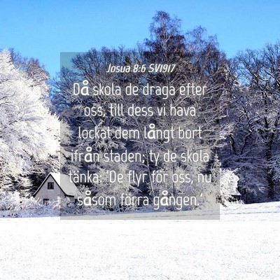 Picture 04 - Josua 8:6 SV1917 - Då skola de draga efter oss, till dess vi hava - Bible Verse Picture