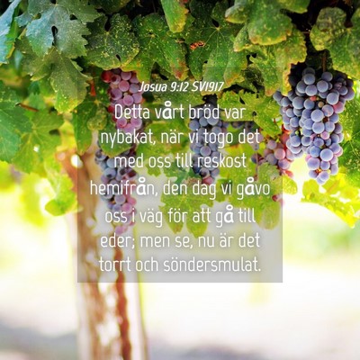 Picture 04 - Josua 9:12 SV1917 - Detta vårt bröd var nybakat, när vi togo det - Bible Verse Picture