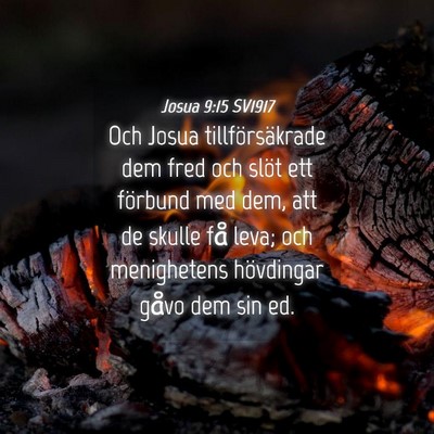 Picture 04 - Josua 9:15 SV1917 - Och Josua tillförsäkrade dem fred och slöt ett - Bible Verse Picture
