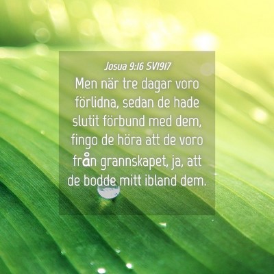 Picture 04 - Josua 9:16 SV1917 - Men när tre dagar voro förlidna, sedan de hade - Bible Verse Picture