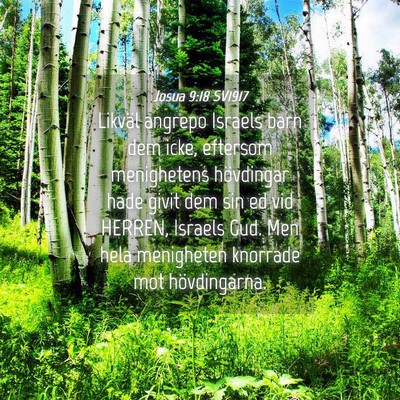 Picture 04 - Josua 9:18 SV1917 - Likväl angrepo Israels barn dem icke, eftersom - Bible Verse Picture