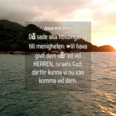 Picture 04 - Josua 9:19 SV1917 - Då sade alla hövdingarna till menigheten: »Vi - Bible Verse Picture