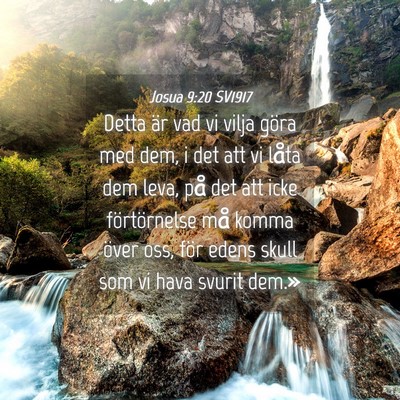 Picture 04 - Josua 9:20 SV1917 - Detta är vad vi vilja göra med dem, i det att - Bible Verse Picture