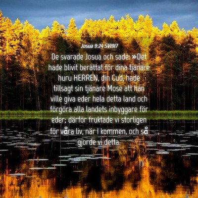 Picture 04 - Josua 9:24 SV1917 - De svarade Josua och sade: »Det hade blivit - Bible Verse Picture
