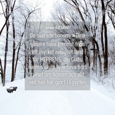Picture 04 - Josua 9:9 SV1917 - De svarade honom: »Dina tjänare hava kommit - Bible Verse Picture