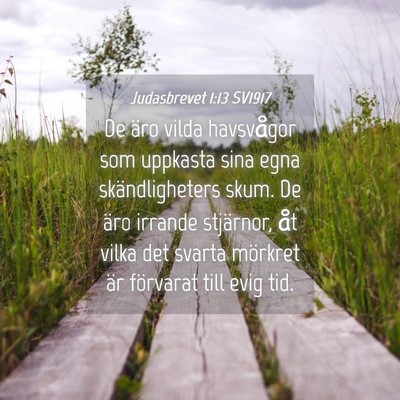 Picture 04 - Judasbrevet 1:13 SV1917 - De äro vilda havsvågor som uppkasta sina egna - Bible Verse Picture