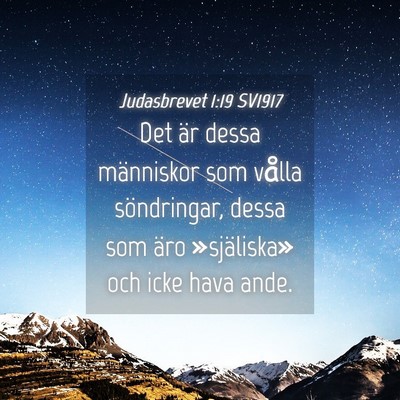 Picture 04 - Judasbrevet 1:19 SV1917 - Det är dessa människor som vålla söndringar, - Bible Verse Picture
