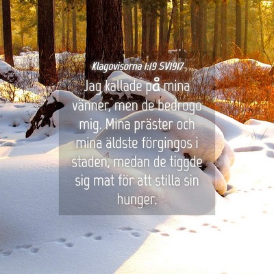 Picture 04 - Klagovisorna 1:19 SV1917 - Jag kallade på mina vänner, men de bedrogo mig. - Bible Verse Picture