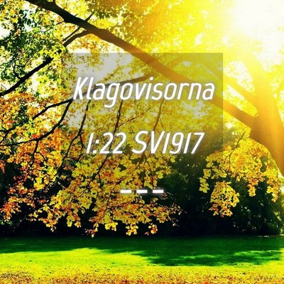Picture 04 - Klagovisorna 1:22 SV1917 -  - Bible Verse Picture