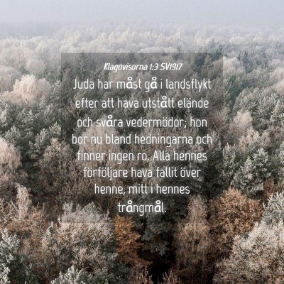 Picture 04 - Klagovisorna 1:3 SV1917 - Juda har måst gå i landsflykt efter att hava - Bible Verse Picture