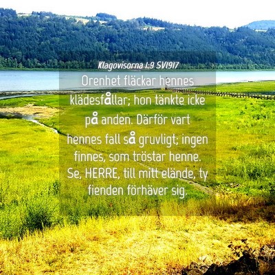 Picture 04 - Klagovisorna 1:9 SV1917 - Orenhet fläckar hennes klädesfållar; hon - Bible Verse Picture