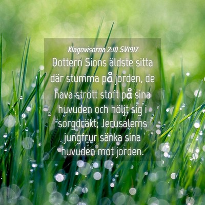 Picture 04 - Klagovisorna 2:10 SV1917 - Dottern Sions äldste sitta där stumma på - Bible Verse Picture