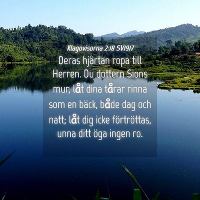 Picture 04 - Klagovisorna 2:18 SV1917 - Deras hjärtan ropa till Herren. Du dottern Sions - Bible Verse Picture