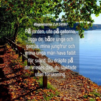 Picture 04 - Klagovisorna 2:21 SV1917 - På jorden, ute på gatorna, ligga de, både unga - Bible Verse Picture