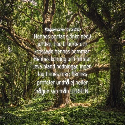 Picture 04 - Klagovisorna 2:9 SV1917 - Hennes portar sjönko ned i jorden, han bräckte - Bible Verse Picture