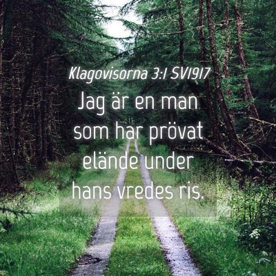 Picture 04 - Klagovisorna 3:1 SV1917 - Jag är en man som har prövat elände under hans - Bible Verse Picture