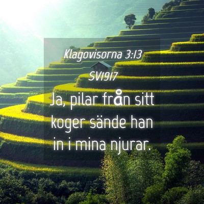 Picture 04 - Klagovisorna 3:13 SV1917 - Ja, pilar från sitt koger sände han in i mina - Bible Verse Picture