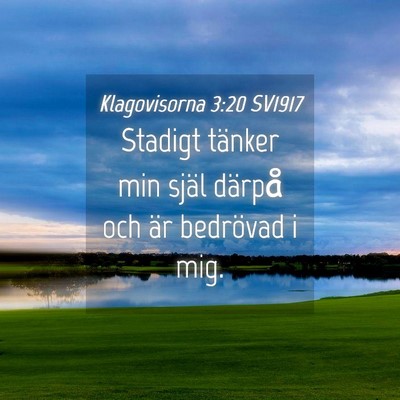 Picture 04 - Klagovisorna 3:20 SV1917 - Stadigt tänker min själ därpå och är - Bible Verse Picture