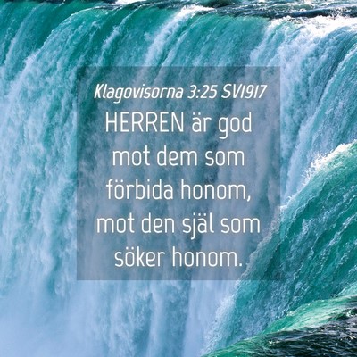 Picture 04 - Klagovisorna 3:25 SV1917 - HERREN är god mot dem som förbida honom, mot - Bible Verse Picture