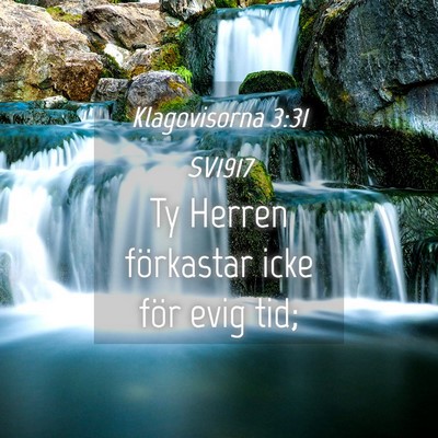 Picture 04 - Klagovisorna 3:31 SV1917 - Ty Herren förkastar icke för evig - Bible Verse Picture