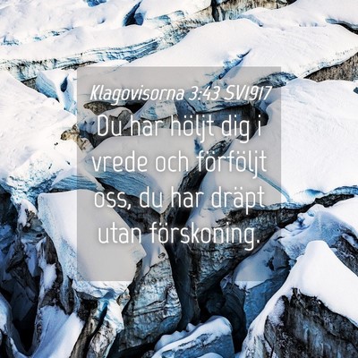 Picture 04 - Klagovisorna 3:43 SV1917 - Du har höljt dig i vrede och förföljt oss, du - Bible Verse Picture