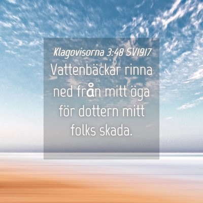 Picture 04 - Klagovisorna 3:48 SV1917 - Vattenbäckar rinna ned från mitt öga för - Bible Verse Picture