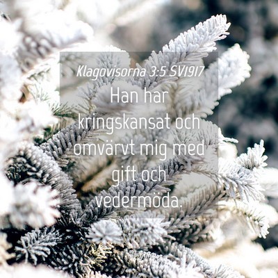 Picture 04 - Klagovisorna 3:5 SV1917 - Han har kringskansat och omvärvt mig med gift - Bible Verse Picture
