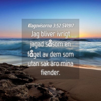 Picture 04 - Klagovisorna 3:52 SV1917 - Jag bliver ivrigt jagad såsom en fågel av dem - Bible Verse Picture