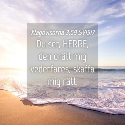 Picture 04 - Klagovisorna 3:59 SV1917 - Du ser, HERRE, den orätt mig vederfares; skaffa - Bible Verse Picture