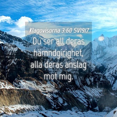 Picture 04 - Klagovisorna 3:60 SV1917 - Du ser all deras hämndgirighet, alla deras - Bible Verse Picture