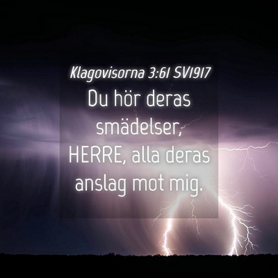 Picture 04 - Klagovisorna 3:61 SV1917 - Du hör deras smädelser, HERRE, alla deras - Bible Verse Picture