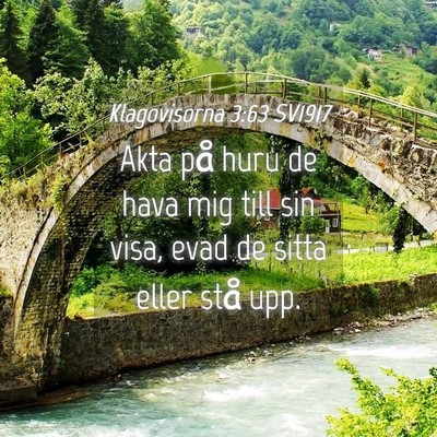 Picture 04 - Klagovisorna 3:63 SV1917 - Akta på huru de hava mig till sin visa, evad de - Bible Verse Picture