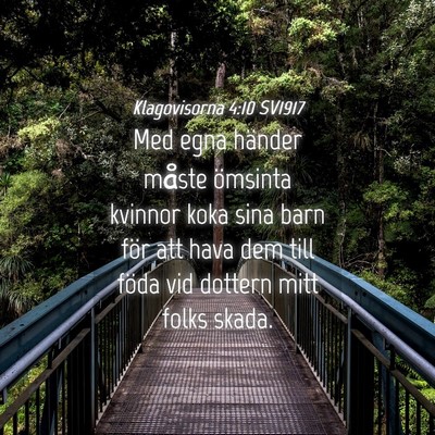 Picture 04 - Klagovisorna 4:10 SV1917 - Med egna händer måste ömsinta kvinnor koka - Bible Verse Picture