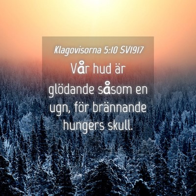Picture 04 - Klagovisorna 5:10 SV1917 - Vår hud är glödande såsom en ugn, för - Bible Verse Picture
