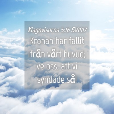 Picture 04 - Klagovisorna 5:16 SV1917 - Kronan har fallit ifrån vårt huvud; ve oss, att - Bible Verse Picture