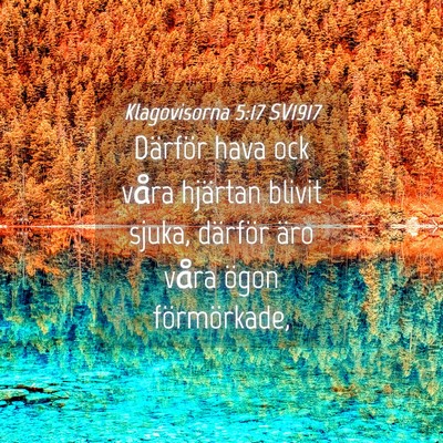Picture 04 - Klagovisorna 5:17 SV1917 - Därför hava ock våra hjärtan blivit sjuka, - Bible Verse Picture