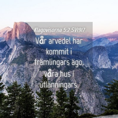 Picture 04 - Klagovisorna 5:2 SV1917 - Vår arvedel har kommit i främlingars ägo, - Bible Verse Picture