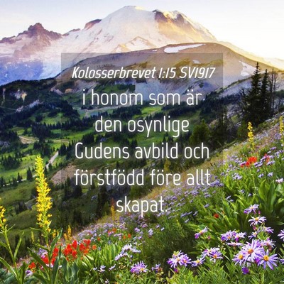 Picture 04 - Kolosserbrevet 1:15 SV1917 - i honom som är den osynlige Gudens avbild och - Bible Verse Picture