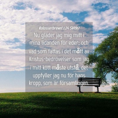 Picture 04 - Kolosserbrevet 1:24 SV1917 - Nu gläder jag mig mitt i mina lidanden för - Bible Verse Picture