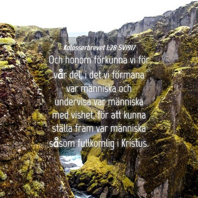 Picture 04 - Kolosserbrevet 1:28 SV1917 - Och honom förkunna vi för vår del, i det vi - Bible Verse Picture