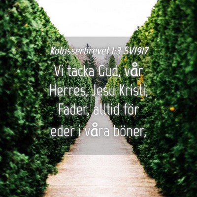 Picture 04 - Kolosserbrevet 1:3 SV1917 - Vi tacka Gud, vår Herres, Jesu Kristi, Fader, - Bible Verse Picture