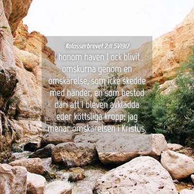 Picture 04 - Kolosserbrevet 2:11 SV1917 - I honom haven I ock blivit omskurna genom en - Bible Verse Picture
