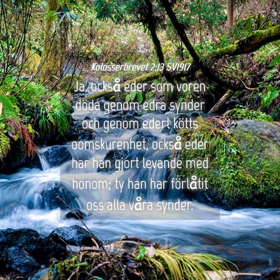 Picture 04 - Kolosserbrevet 2:13 SV1917 - Ja, också eder som voren döda genom edra synder - Bible Verse Picture