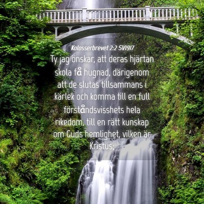 Picture 04 - Kolosserbrevet 2:2 SV1917 - Ty jag önskar, att deras hjärtan skola få - Bible Verse Picture