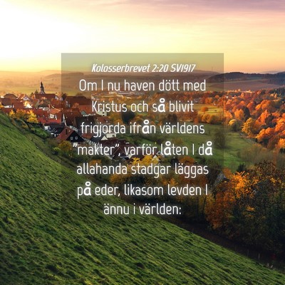 Picture 04 - Kolosserbrevet 2:20 SV1917 - Om I nu haven dött med Kristus och så blivit - Bible Verse Picture
