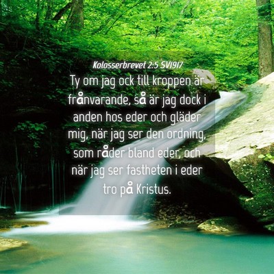 Picture 04 - Kolosserbrevet 2:5 SV1917 - Ty om jag ock till kroppen är frånvarande, så - Bible Verse Picture