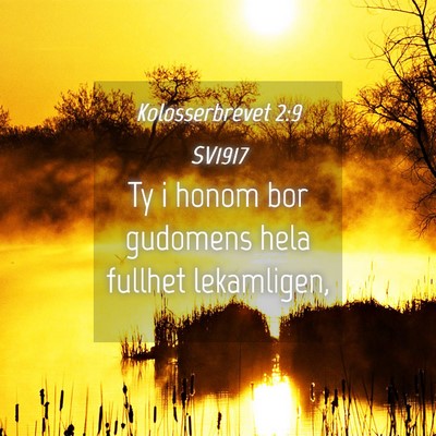 Picture 04 - Kolosserbrevet 2:9 SV1917 - Ty i honom bor gudomens hela fullhet - Bible Verse Picture