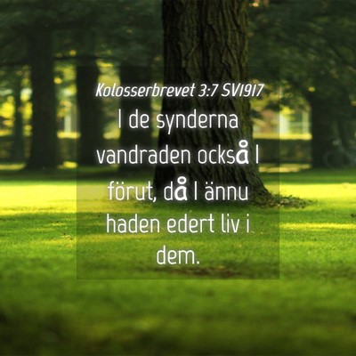 Picture 04 - Kolosserbrevet 3:7 SV1917 - I de synderna vandraden också I förut, då I - Bible Verse Picture